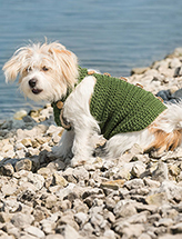 Dapper Dog Crochet Pattern