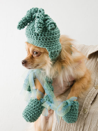 Dog Hat, Scarf, Bootie Set Crochet Pattern