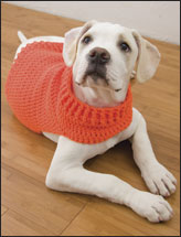 Hunter's Dog Sweater