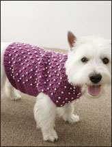 Beaded Dog Sweater