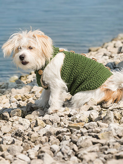 Dapper Dog Crochet Pattern