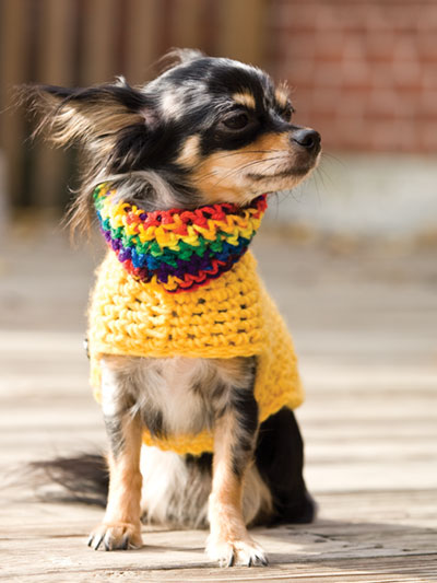 Small Pooch Pullover Crochet Pattern